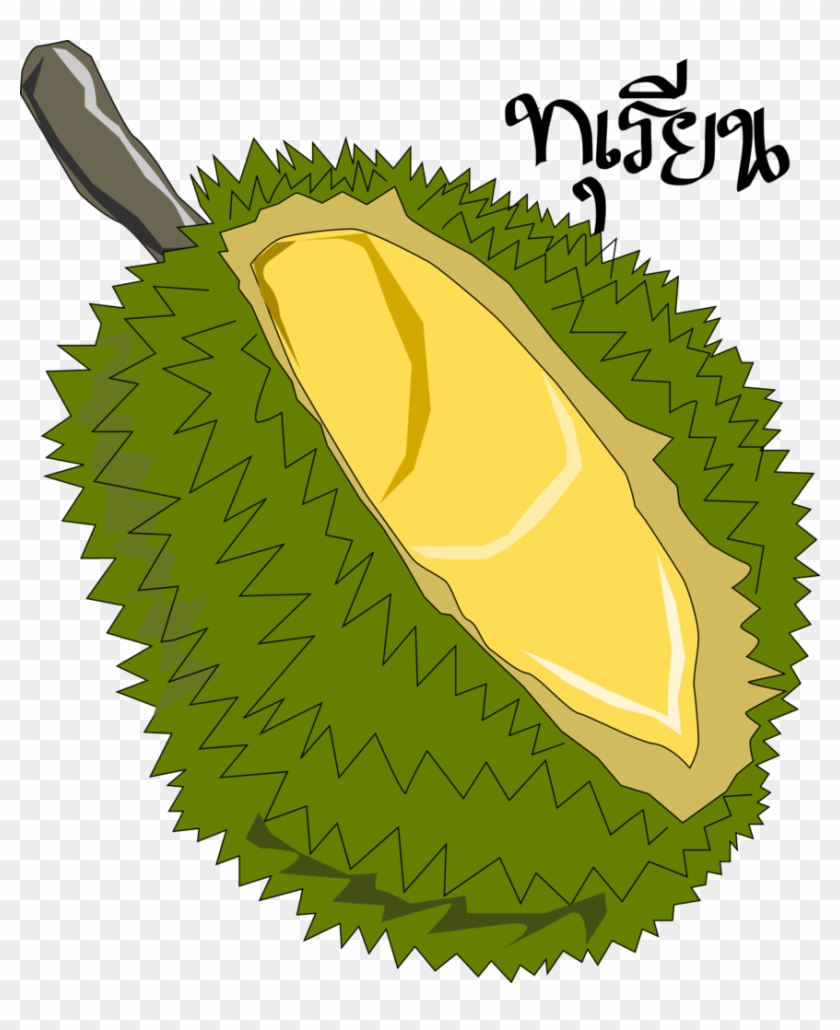 Durian Clipart Png Transparent Png X Pngfind