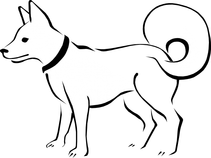 black and white dog drawing