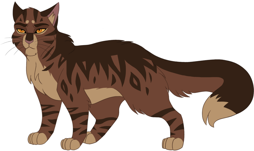 Warrior Cats png images