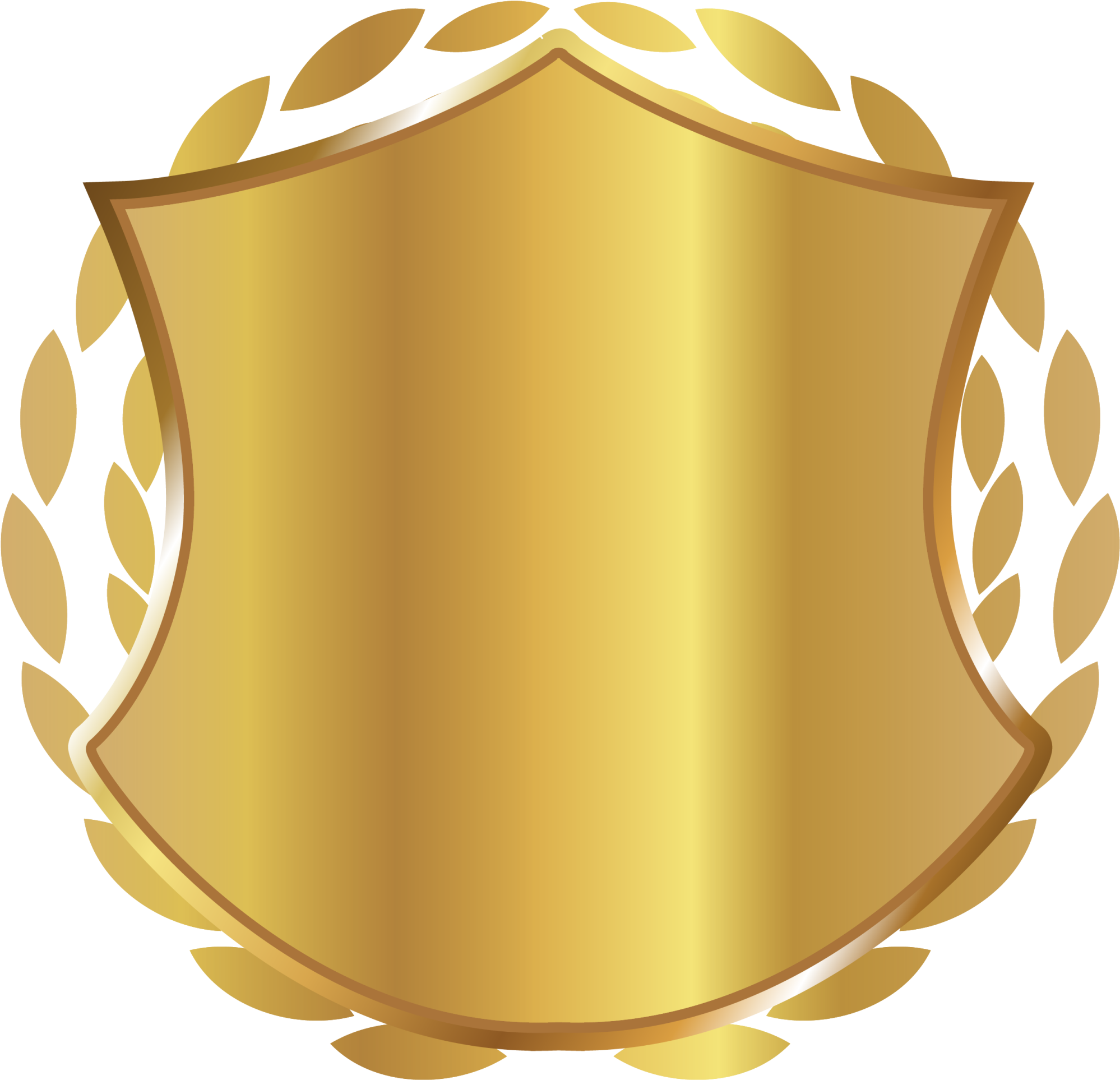 Transparent Background Golden Shield Png Png Download Viking Shield Png Transparent Png Download Pngfind