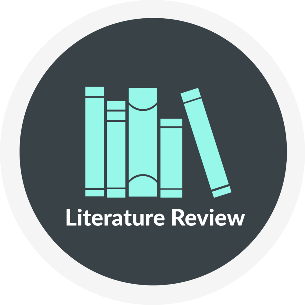 literature review icon