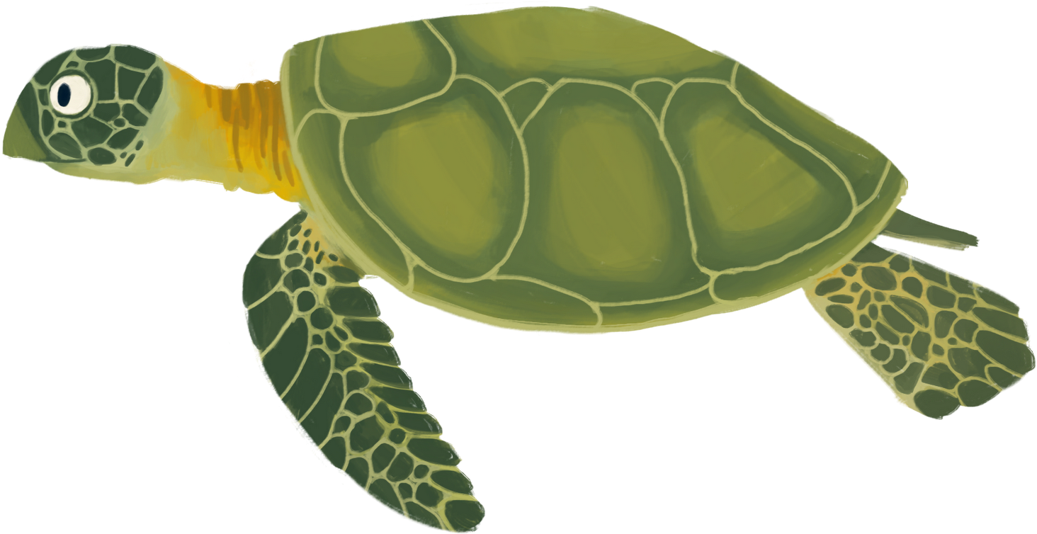 Go To Image - Animated Sea Turtle Png, Transparent Png - 1600x986 ...