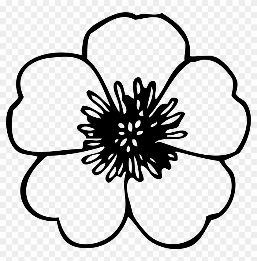 Download Flower Cliparts Flower Design Svg Line Drawing Of Flower Hd Png Download 900x871 3121 Pngfind