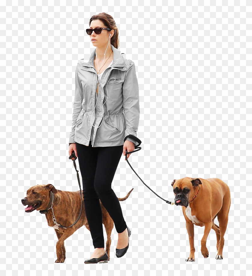 Dogs - Person Walking Dog Png, Transparent Png - 900x900(#5272) - PngFind
