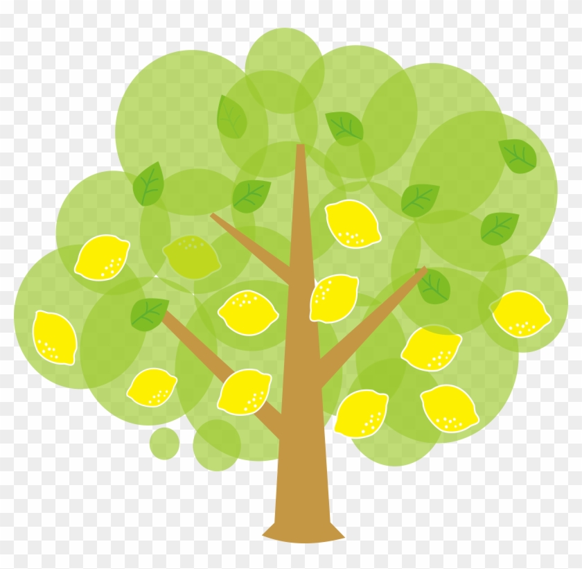 Graphics For Cartoon Tree Graphics - Lemon Tree Clipart, HD Png