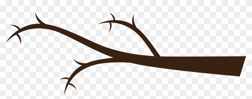Tree Branch Png Tree Branch Clipart Png Transparent Png 2628x908 Pngfind
