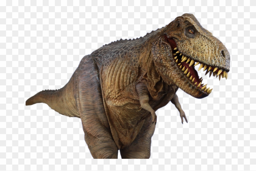 T Rex Png Transparent Hd Photo - Tyrone The T Rex, Png Download ...