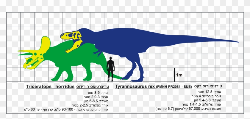 Download T Rex Ve Triceratops Svg Hebrew Tyrannosaurus Rex Size Hd Png Download 2000x1000 14135 Pngfind PSD Mockup Templates