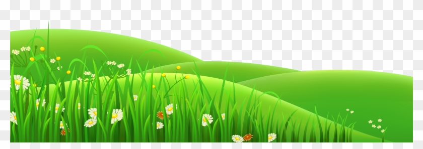 Grass Background Clipart Png, Transparent Png - 6000x1968(#16169) - PngFind