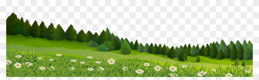 Trees And Grass Png, Transparent Png - 8000x2395(#16234) - PngFind