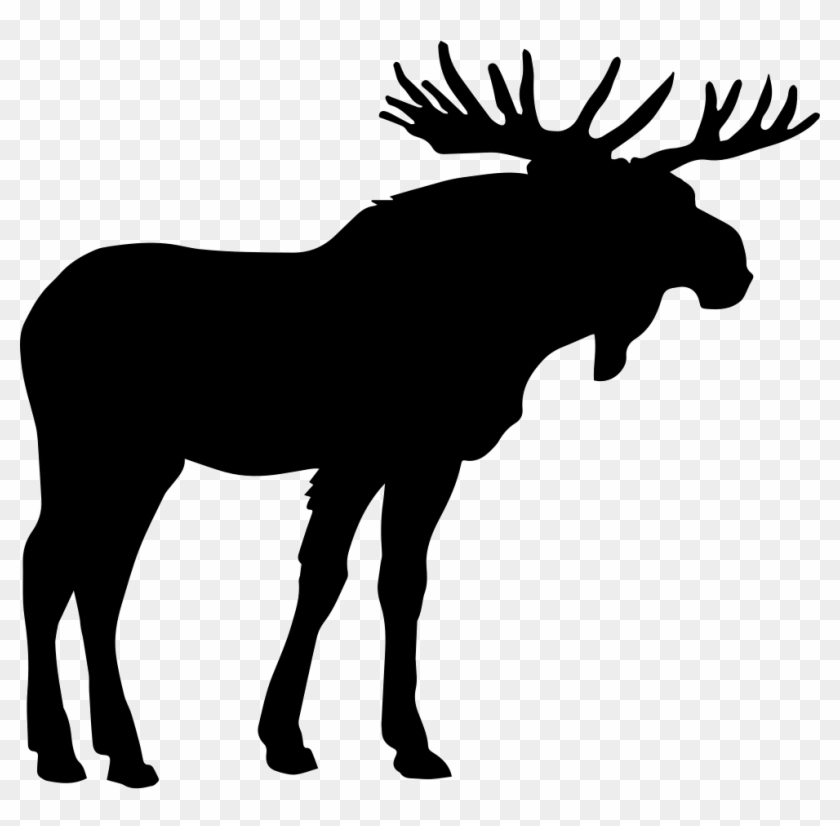 Download Png File Svg Moose Icon Transparent Png 980x918 102898 Pngfind