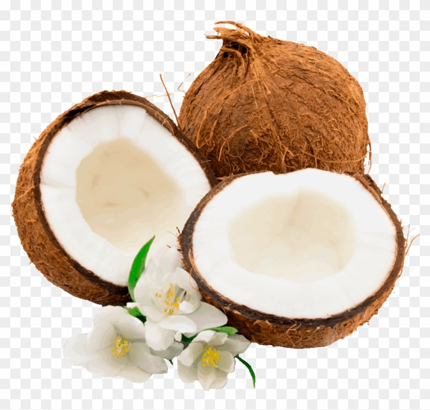 Coconut Palm Clip Art, HD Png Download - 852x772(#1013010) - PngFind