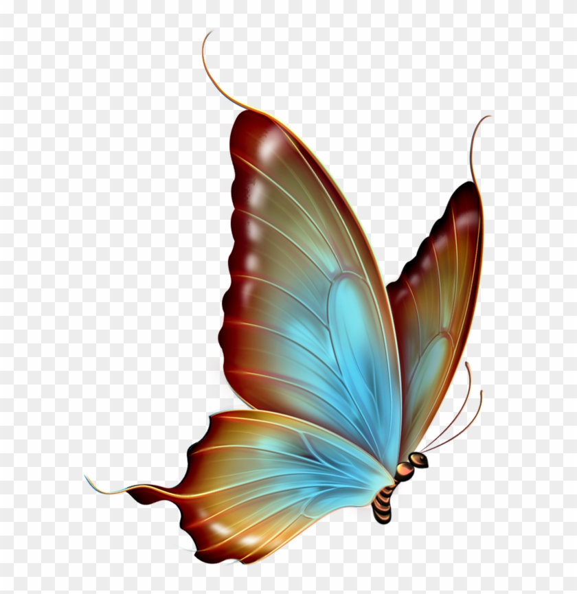 Hãy cùng đến với hình ảnh bướm trong suốt, với cánh mỏng manh và xuyên thấu nhưng lại rực rỡ và tinh tế đến khó tin.