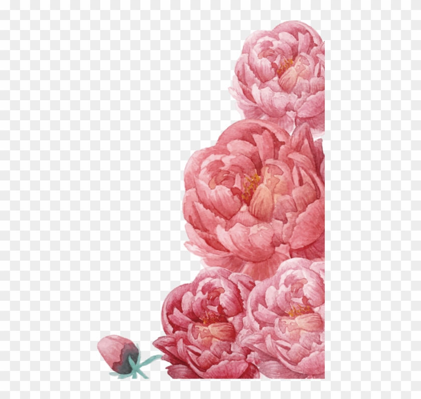 Floral Clip Art Peonies, HD Png Download - 715x715(#1062470) - PngFind