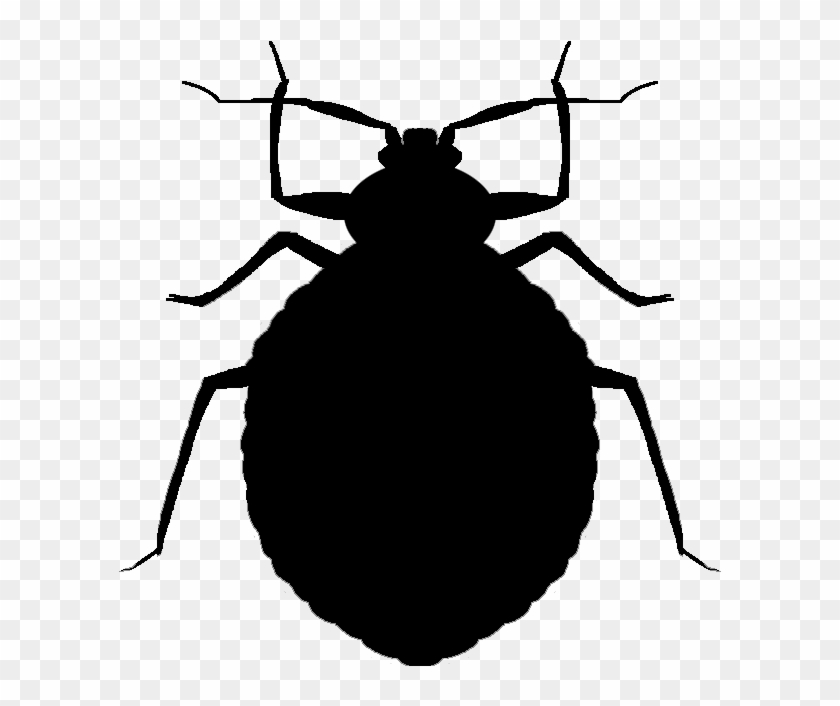 cricket insect clip art black and white