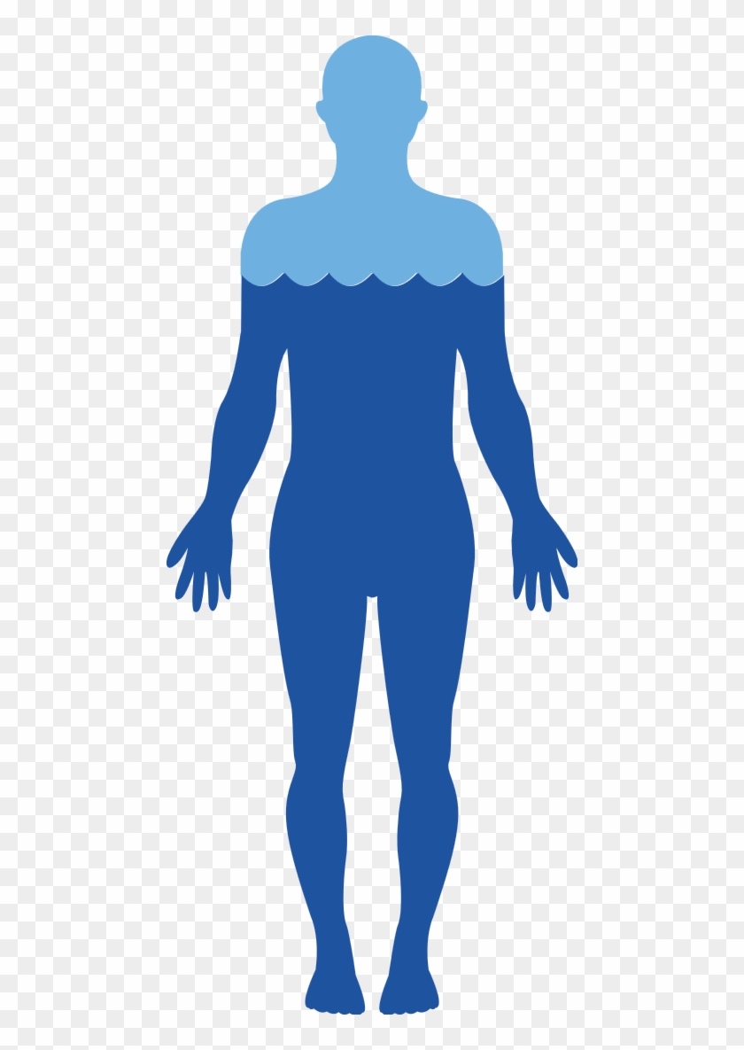Body Free Png Image - Human Body Water Transparent, Png Download -  464x1105(#1107076) - PngFind