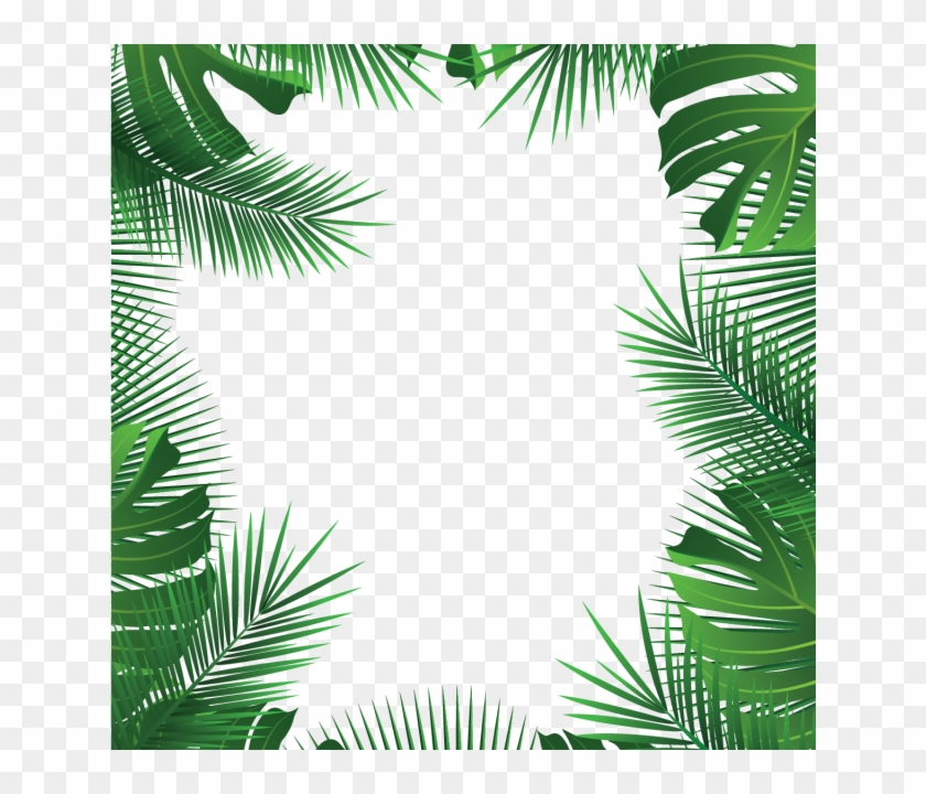 640 X 640 19 - Beach Leaves Png, Transparent Png - 640x640(#1110569 ...