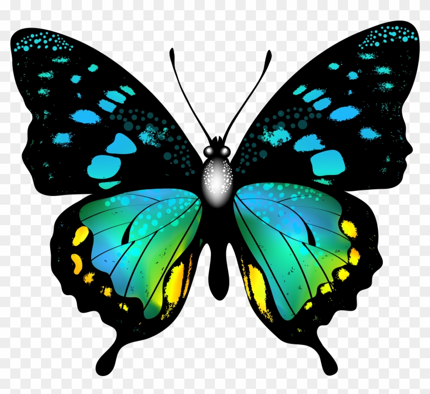 Blue Colorful Butterfly Png Clip Art Image Graphics - Real ...