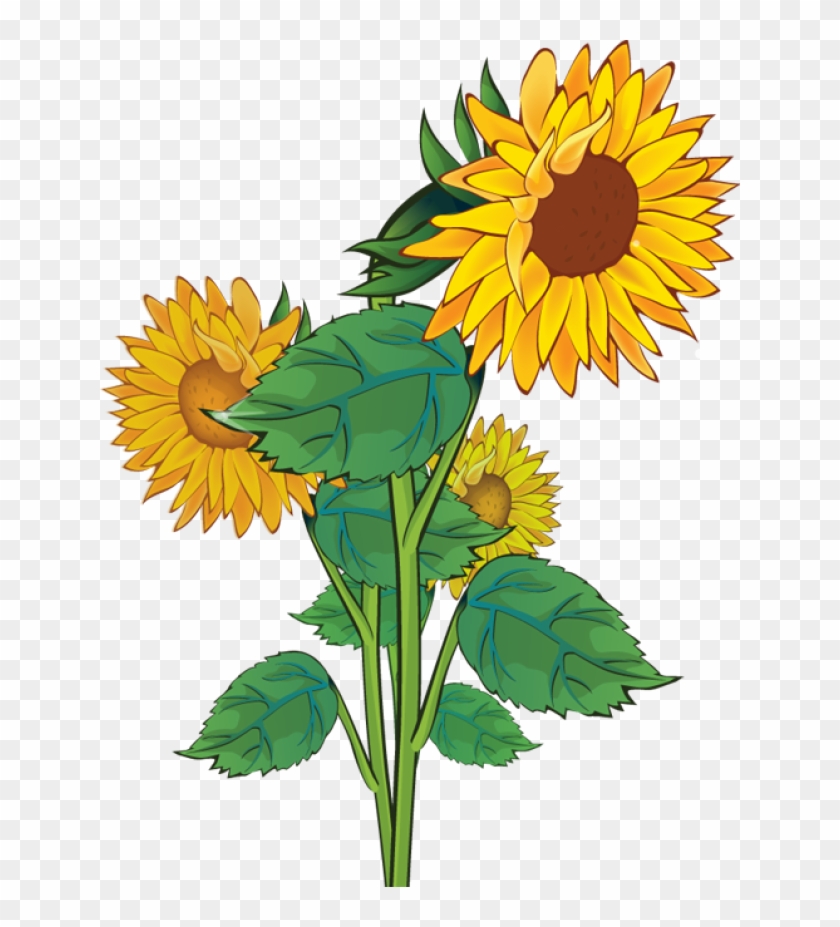 Free Free 346 Clipart Sunflower SVG PNG EPS DXF File