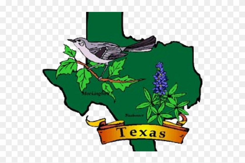 Mockingbird Clipart Texas State Bird - Map Of Texas With State Bird And ...