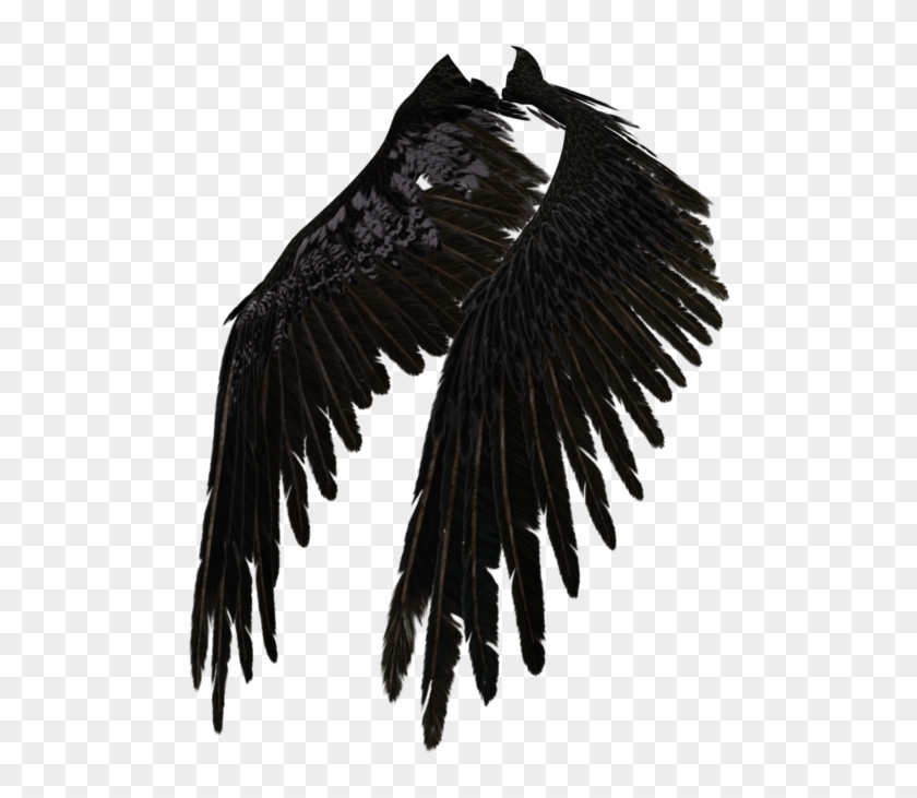 230 Best Crow Tattoo ideas  crow tattoo raven tattoo crow