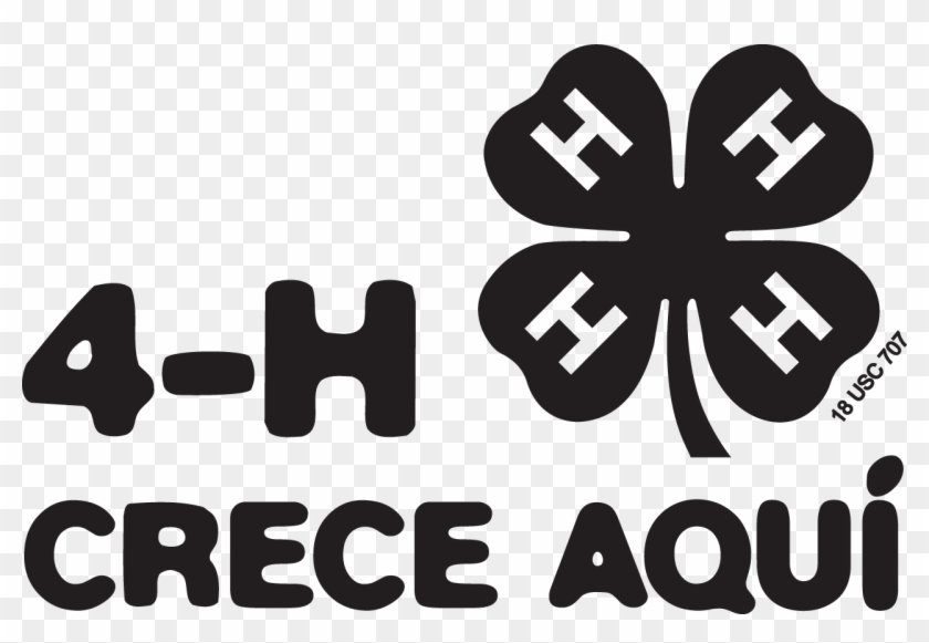 4 H Grows Here B 4 H Clover Hd Png Download 1281x6 Pngfind