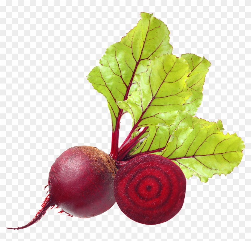 39+ Beets clipart transparent watercolor