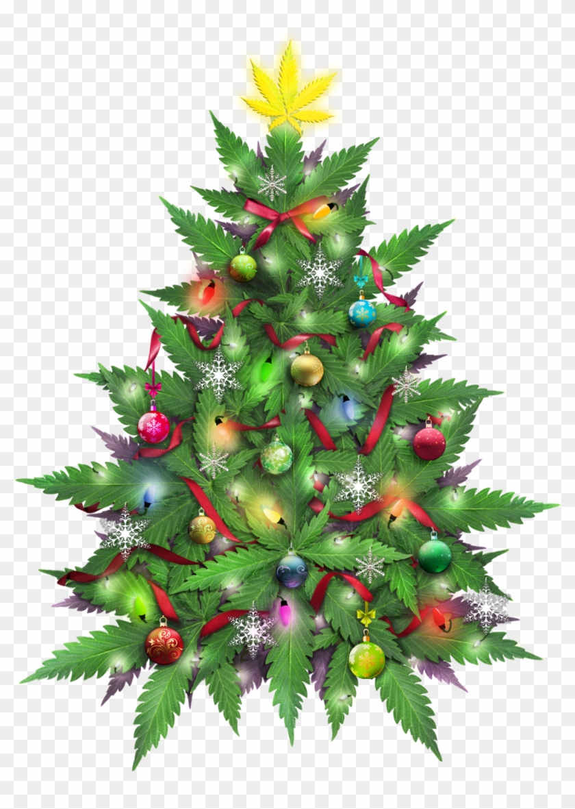 Marijuana Christmas Tree Marijuana Christmas Cards, HD Png Download