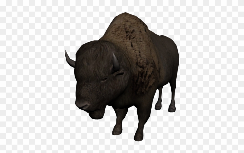 native american buffalo clipart png