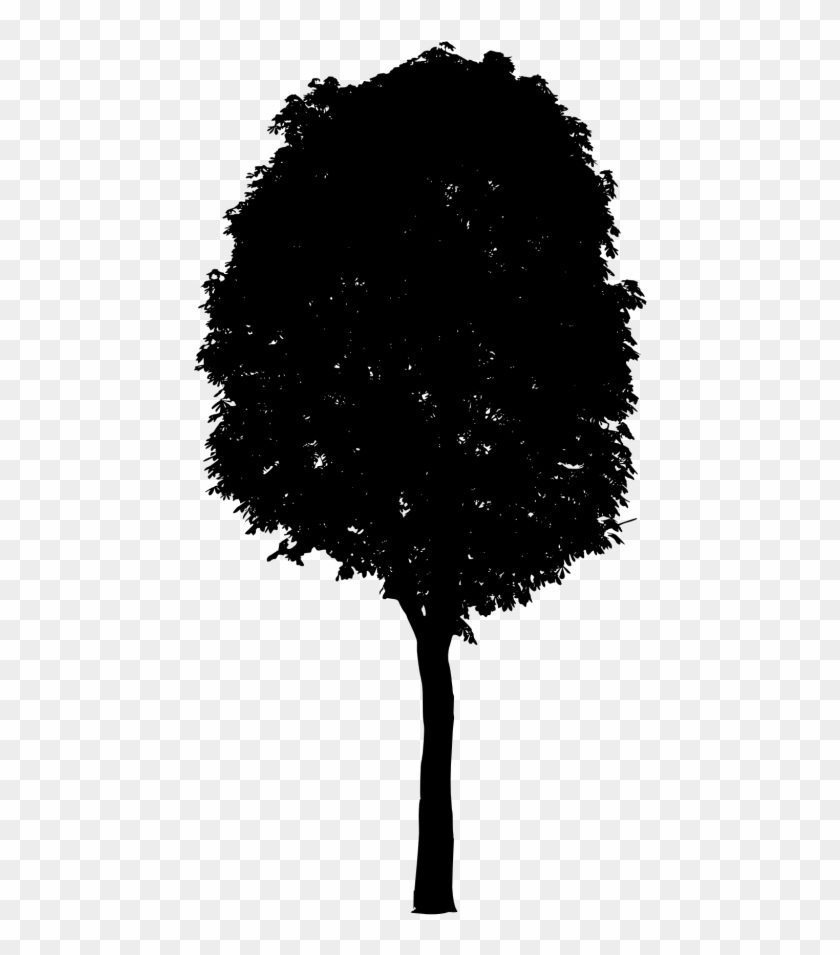 7 Black Tree Png Image Transparent - Black Trees Png File, Png Download ...