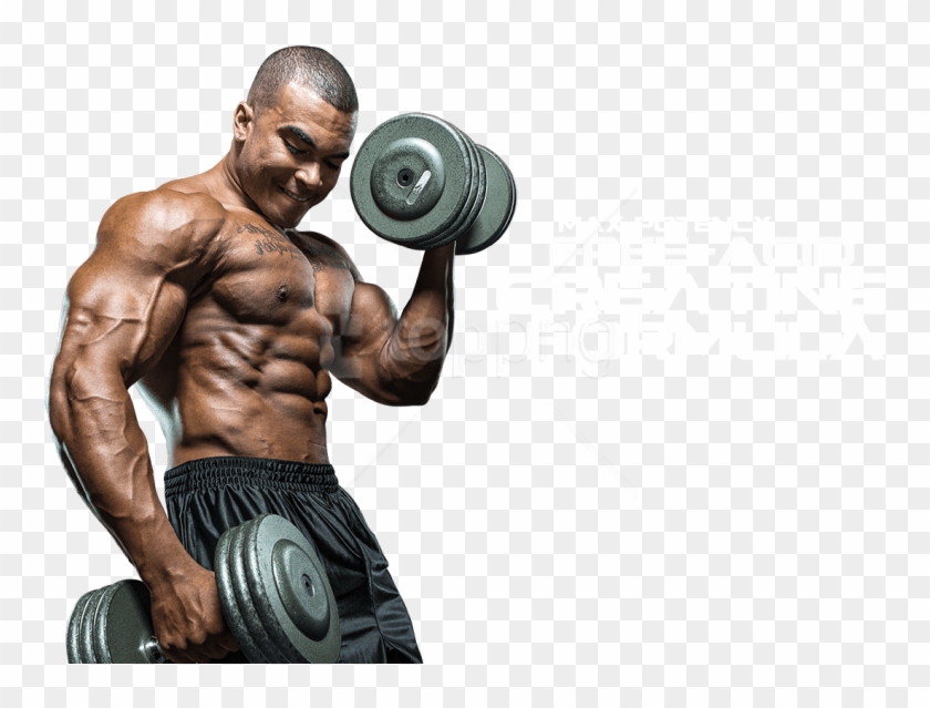 Weightlifter PNGs for Free Download