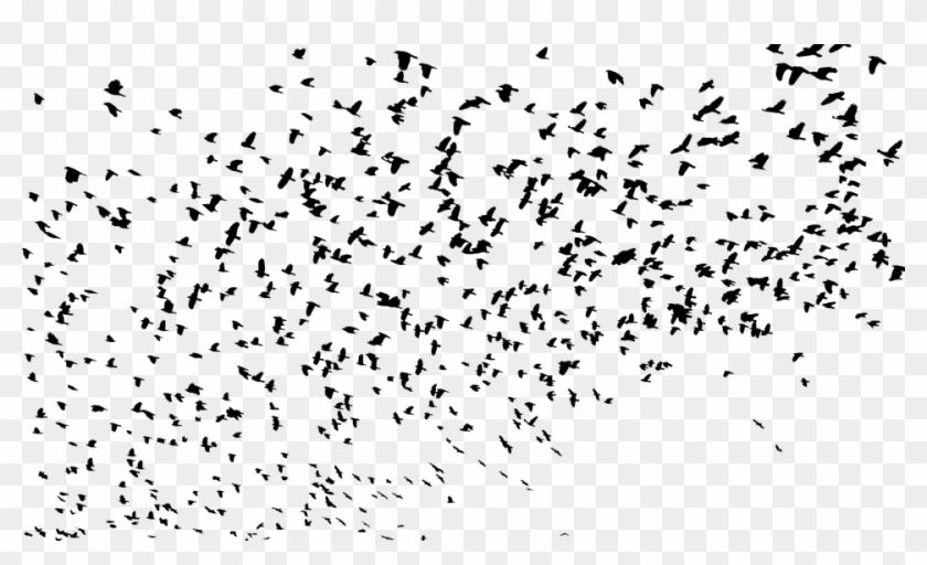 Download Flock Birds Animals Flying Silhouette Svg Swarm Of Birds Silhouette Hd Png Download 960x540 130848 Pngfind