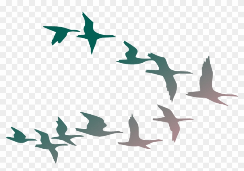 free png download flock of birds png images background cartoon flock of birds transparent png 850x556 131096 pngfind free png download flock of birds png