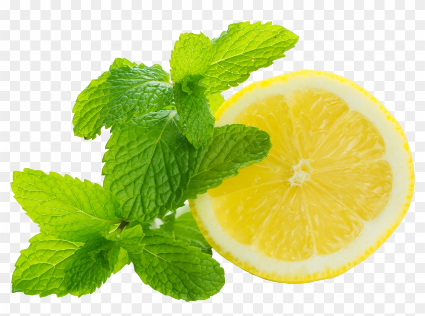 lemon mint png transparent png 4917x3281 136355 pngfind lemon mint png transparent png