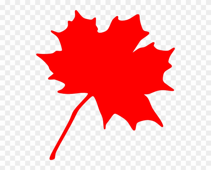 Canada Maple Leaf Clipart - Clip Art Canadian Maple Leaf, HD Png ...