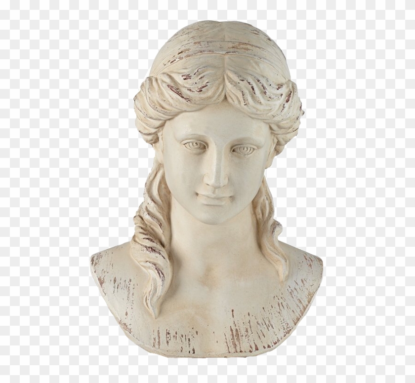 Greek Clipart Bust Roman - Bust, HD Png Download - 480x696(#1324312 ...