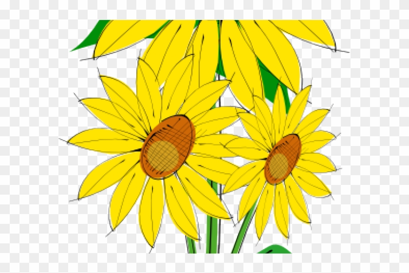Free Sunflower Clipart Sunflower Clip Art Hd Png Download 640x480 1337992 Pngfind
