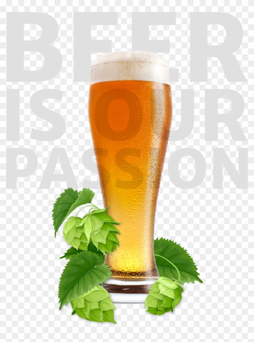 Thumbnail - Lager, HD Png Download - 981x1274(#1338568) - PngFind