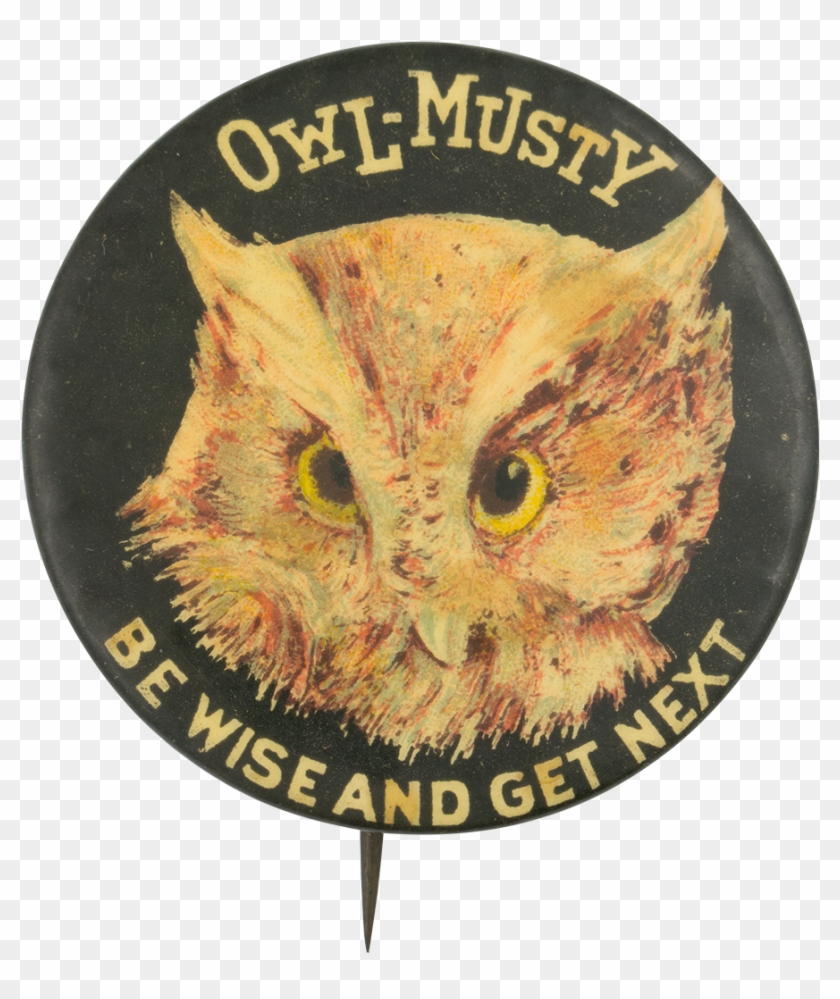 Owl-musty Be Wise And Get Next Beer Button Museum - Brenau Women's ...