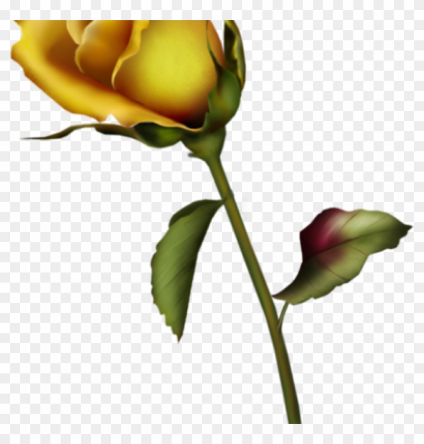 yellow rose tattoo ideasTikTok Search