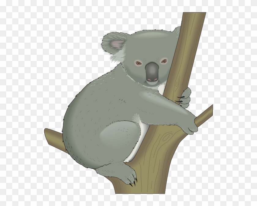 Download Koala In Tree Svg Clip Arts 552 X 596 Px Hd Png Download 552x596 1353427 Pngfind