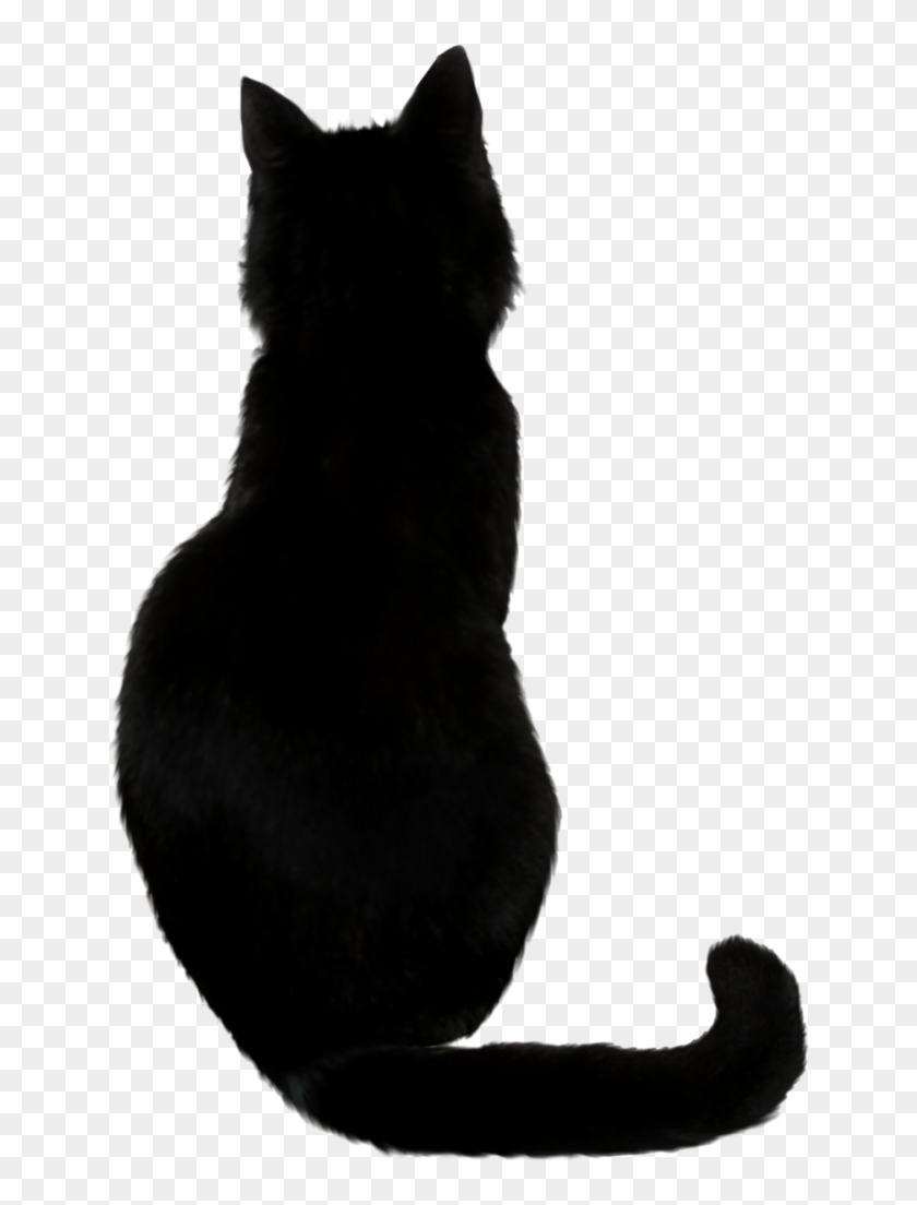 Black Cat Png Photos Chat Noir Dessin Facile Transparent Png 643x1024 Pngfind