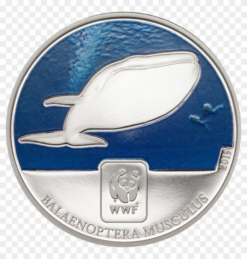 Wwf Blue Whale - Ballena Con Monedas, HD Png Download - 910x910