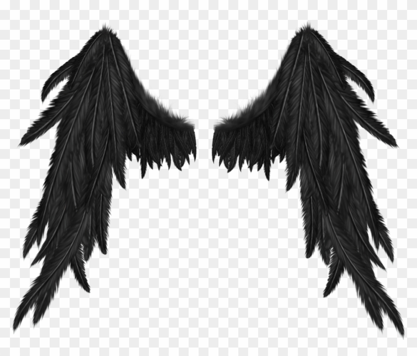 Demon Wings No Background Hd Png Download 1024x1024 1377626 Pngfind - devil wings roblox