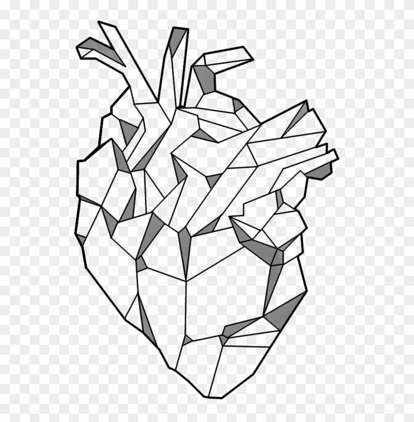 geometry tattoo png image background geometric anatomical heart png transparent png 736x1027 1379495 pngfind geometry tattoo png image background