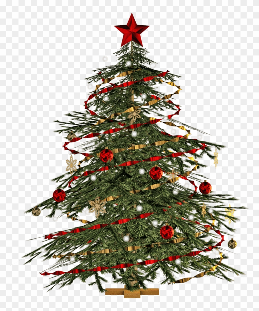 Transparent Christmas Tree Png, Png Download - 818x977(#1381330) - PngFind