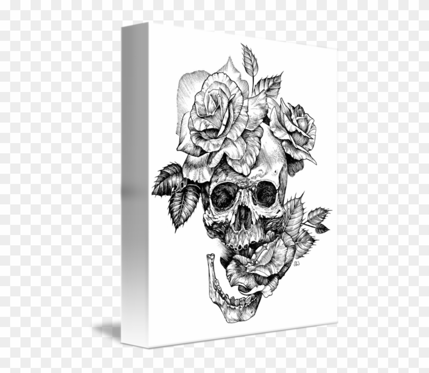 Human Skull And Red Rose Flower Ink Black And White Drawing Stock Photo  Picture And Royalty Free Image Image 145950385