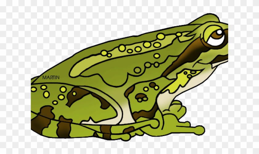 dead frog clipart