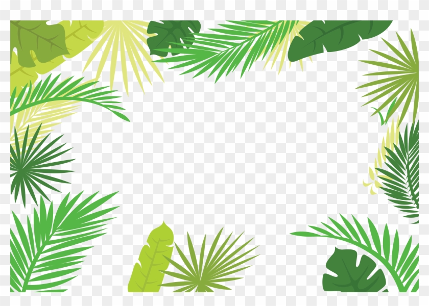 Leaf Text Illustration Arecaceae Palm Branch Border Palm Leaves Border Png Transparent Png 5000x3334 Pngfind