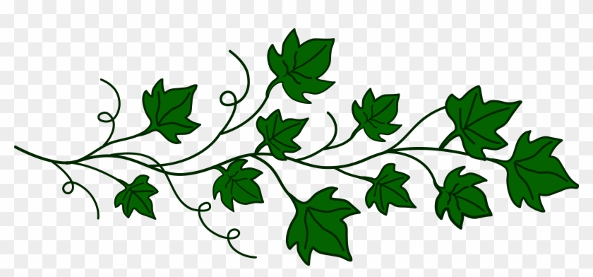 leaf divider clipart images